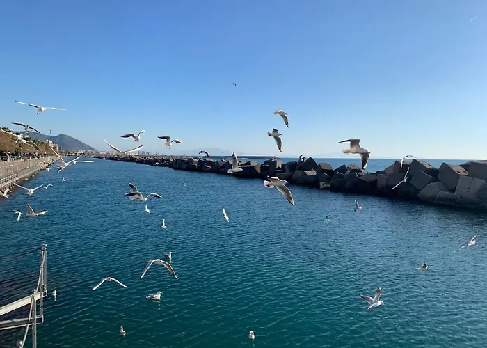 شقة Papu's House *